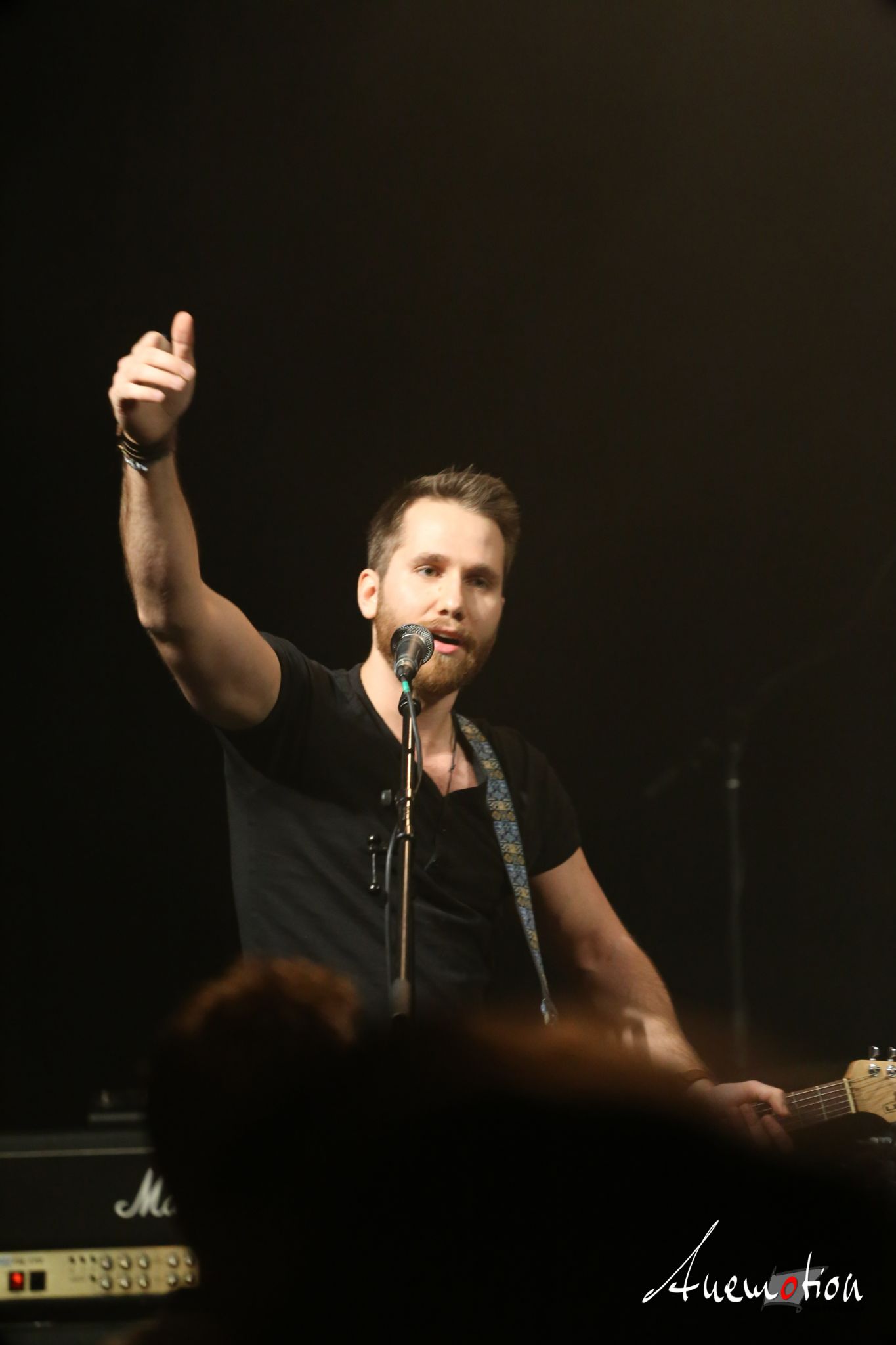 ElephantsFalling (28)